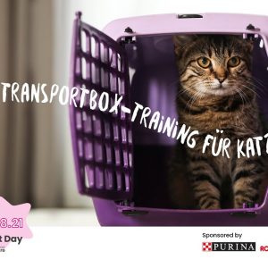 [German Sub] Cat Carrier Training - Part 6 Moving the Carrier