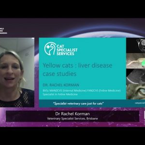 ISFM Congress 2021 - Dr. Rachel Korman - Yellow cats: Liver disease case studies