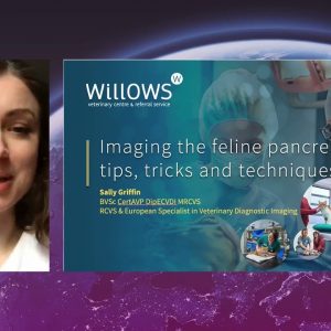 ISFM Congress 2021 - Dr. Sally Griffin - Imaging the feline pancreas: Tips, tricks and techniques