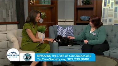 CCS on Mile High Living   Cat Health Month