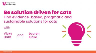 Be solution driven for cats - Vicky Halls talks to Lauren Finka