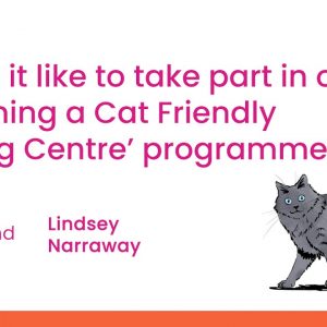 What's it like to take part in our 'Becoming a Cat Friendly Homing Centre' programme?