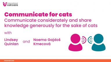 Communicate for Cats - Lindsey Quinlan talks with Feline Wellbeing Panel member Noema Gajdoš Kmecová